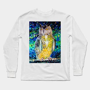 Owl - a symbol of wisdom Long Sleeve T-Shirt